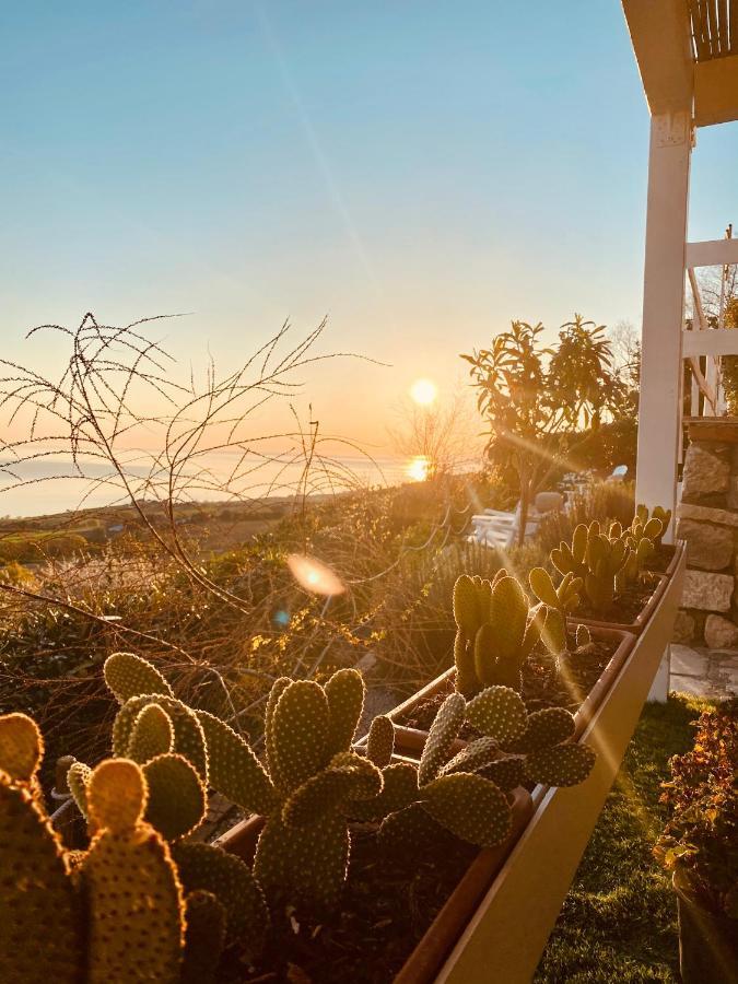 Residenza B&B Vistamare Petacciato Dış mekan fotoğraf