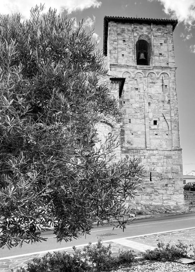 Residenza B&B Vistamare Petacciato Dış mekan fotoğraf